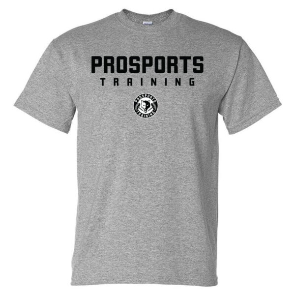 An image of a grey mens Pro Sports Training T-shirt